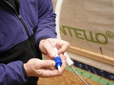 2. Augu läbitorkamine